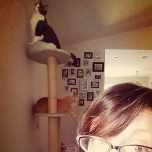 Meet your Posher, Amanda